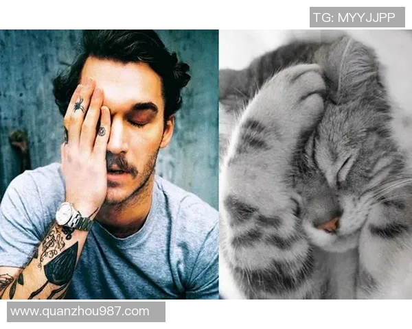 足球明星与他的猫咪日常生活的温馨故事分享