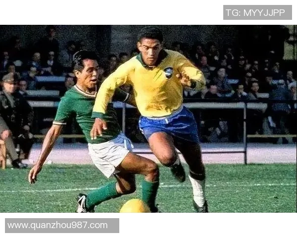 巴西足球明星的传奇之路与辉煌成就揭秘